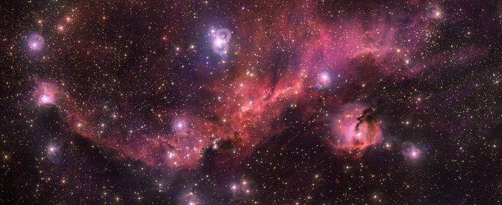 El brillo rosado de una gaviota cósmica