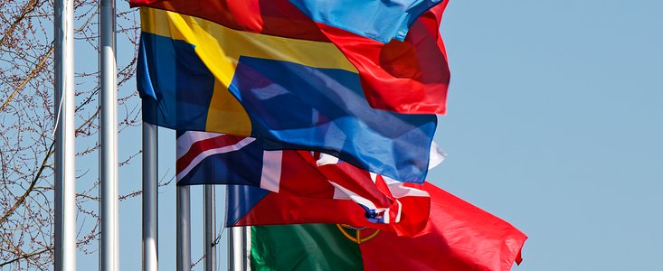 Flags at ESO Headquarters