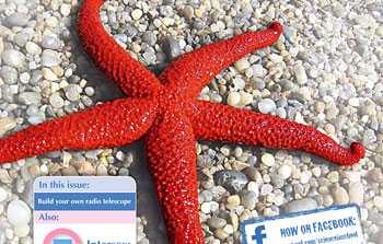 Disponible el número 23 de la revista “Science in School”