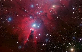 Mounted image 041: NGC 2264 and the Christmas Tree cluster