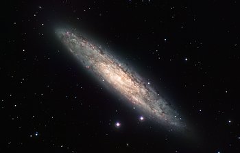 Mounted image 039: Spiral galaxy NGC 253