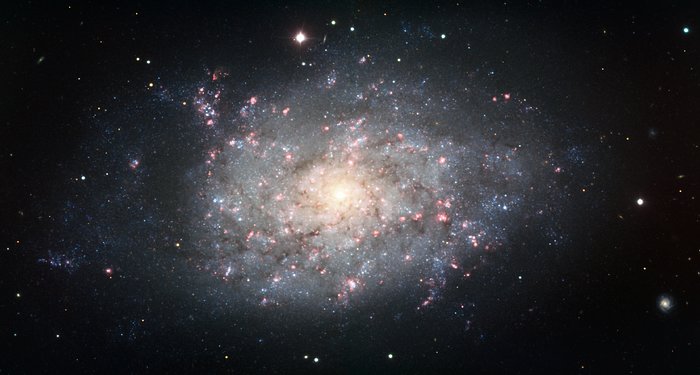 Spiral galaxy NGC 7793