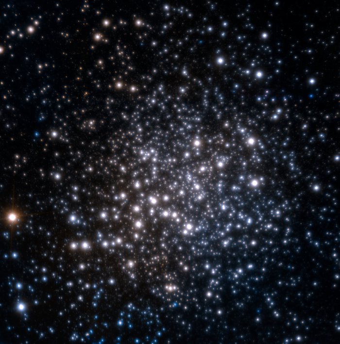 The star cluster Terzan 5