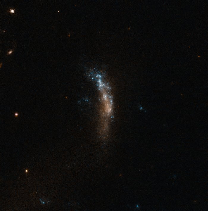 A galáxia anã UGC 5189A, local da supernova SN 2010jl