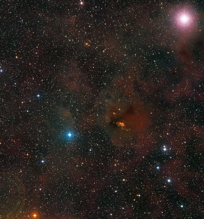 Panoramica del cielo intorno alla giovane stella HL Tauri