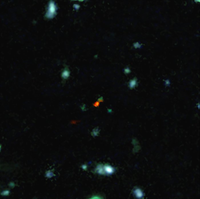 ALMA witnesses assembly of galaxy in early Universe