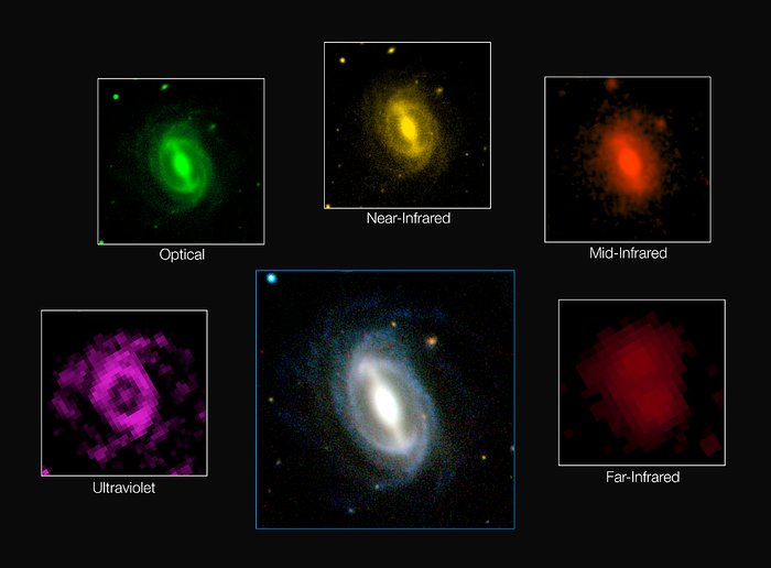 Galaxbilder från kartläggningsprojektet GAMA