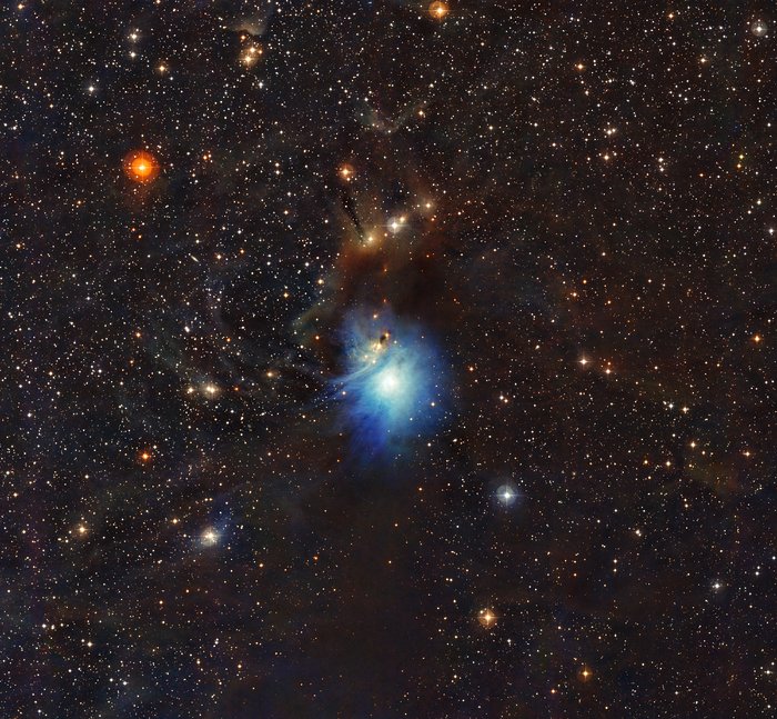 Jovem estrela ilumina nebulosa de reflexão IC 2631