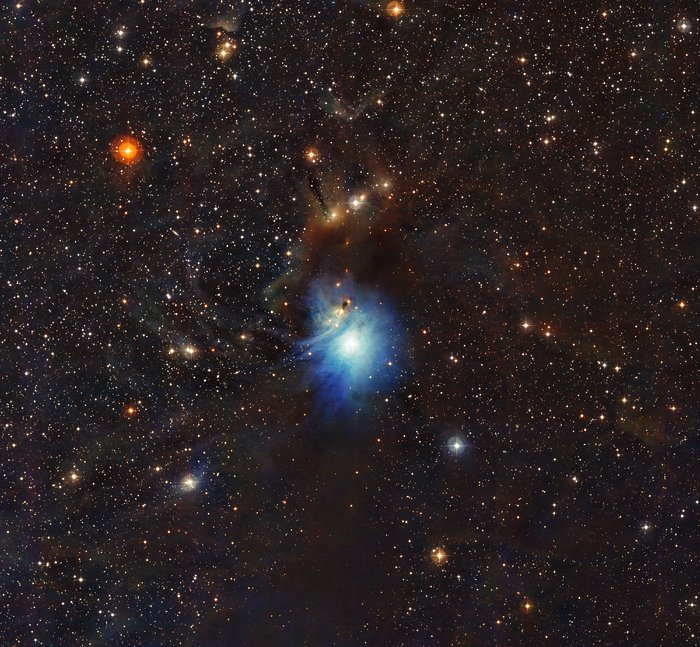 Young star lights up reflection nebula IC 2631