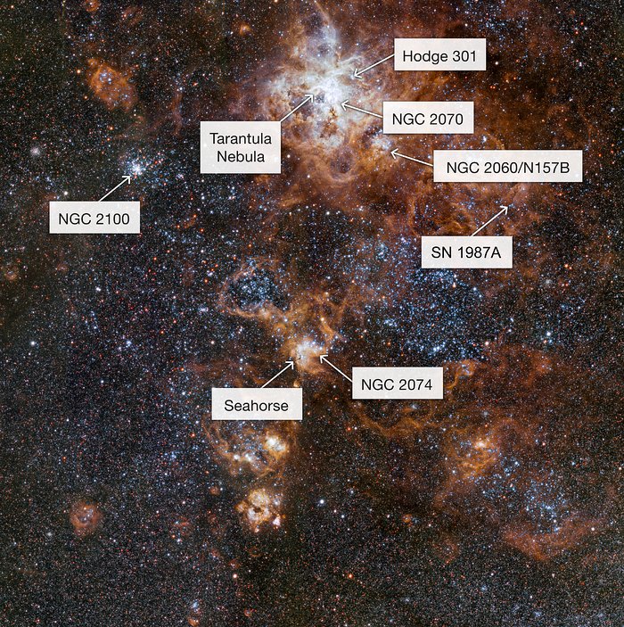 Det rika området kring Tarantelnebulosan i Stora magellanska molnet (med etiketter)