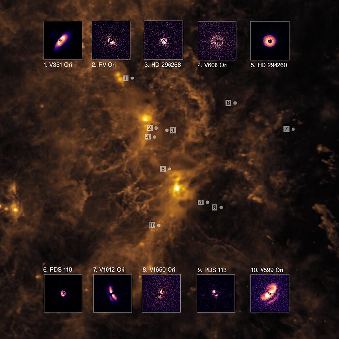 On top of one image, which consists of a brown and orange cloud-like structure with bright spots lining a central ridge, lie 10 smaller images of discs on dark backgrounds. The disc images are coloured in shades of purple, orange and white, and each disc has a unique shape. The discs are labelled by number, and their location within the brown and orange cloud-like structure is indicated on the larger, background image.