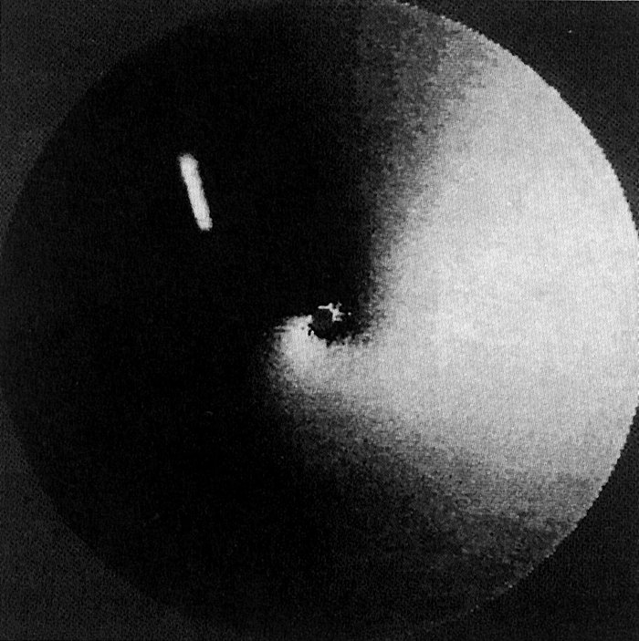 Un getto di polvere dalla cometa Austin (1989 c1)