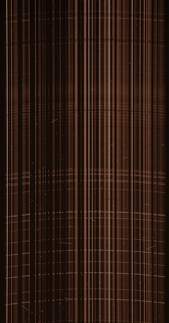 Raw image from the FLAMES instrument on the VLT