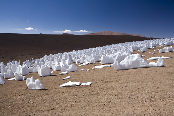 Los penitentes blancos*