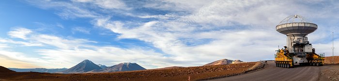 Leviathan der Atacama