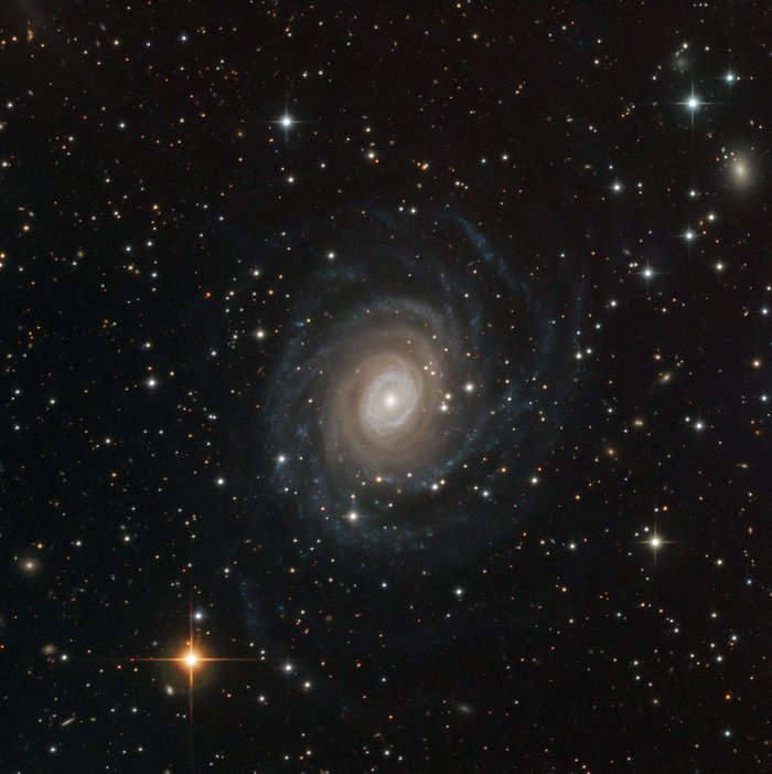 NGC 6902 fångad med SPECULOOS