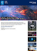 ESO — ALMA revela teia interna em maternidade estelar — Photo Release eso1809pt