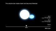 En kunstners forestilling af udviklingen af en varm, tung dobbeltstjerne (med forklarende tekst)
