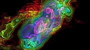 Three-dimensional view of ALMA observations of the outflows from NGC 253