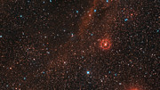 Zoom auf den roten Hyperriesenstern VY Canis Majoris