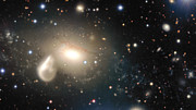 Primo piano dei dintorni della galassia interagente NGC 5291