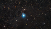 Zoom sulla giovane stella nella nebulosa a riflessione IC 2631