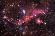 ESOcast 205 Light: Den röda glöden från den kosmiska fiskmåsen