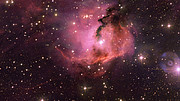 Panorâmica sobre a Nebulosa da Gaivota