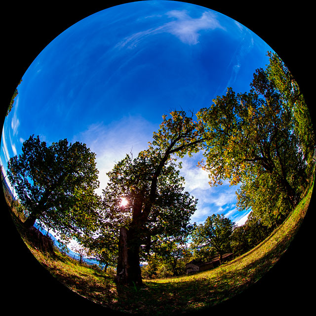 Blue sky over Agios Christoforos wood