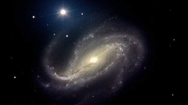 The barred spiral  galaxy NGC 613