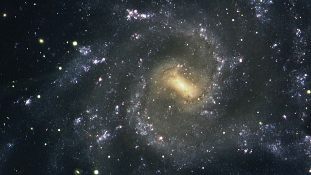 The Seyfert 1 galaxy NGC 7424