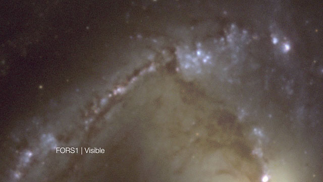 Comparación de imágenes en luz visible e infrarrojo de la espectacular galaxia espiral barrada NGC 1365