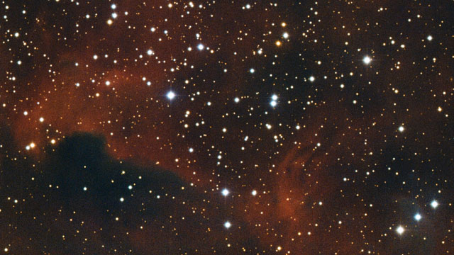 Panning across part of the Seagull Nebula