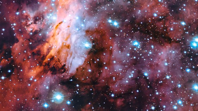 Primo piano sulla Nebulosa Gambero