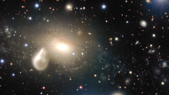 Panorâmica do meio que rodeia a galáxia em interação NGC 5291