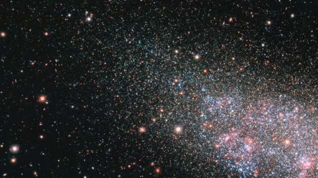 Galaxen Wolf-Lundmark-Melotte i den lokala galaxgruppens utkanter