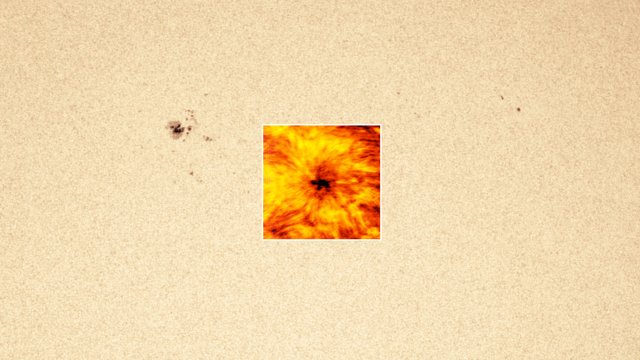 Sunspot seen in visible and millimetre wavelength light