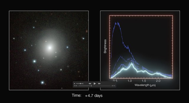 Séquence temporelle d’images et de spectres de la kilonova