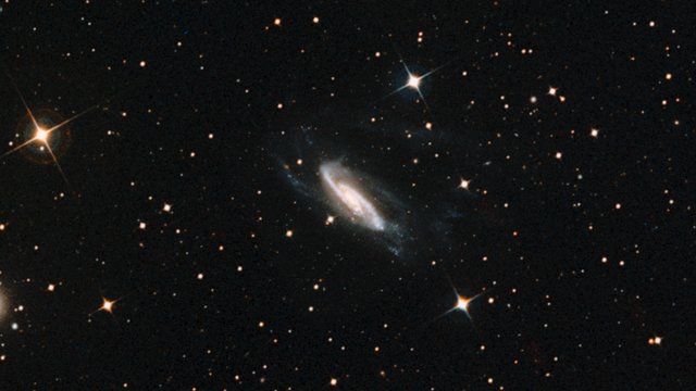 Zooming into NGC 3981