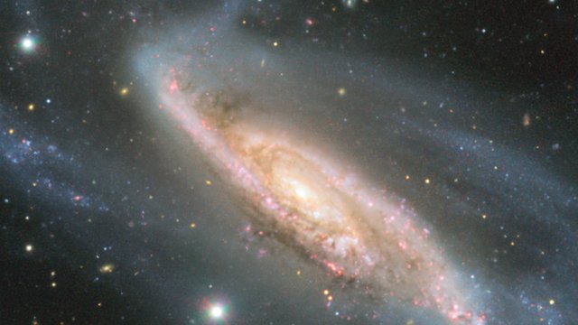 Panorera längs med NGC 3981