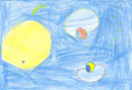 Venus Transit by Tara