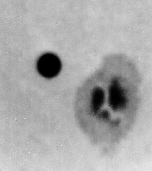 Mercury's disk near sunspot group