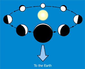 Mercury's phases and changing apparent size