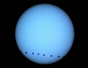 Venus Transits the Solar Disc