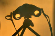 Venus Transit through the Binoculars