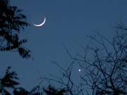 Venus and the Moon