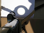 Venus Transit in the Office