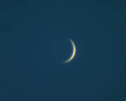 Venus after the Occultation