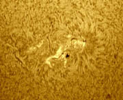 Active Region 618 on the Sun