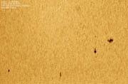 Sunspots during the Venus Transit